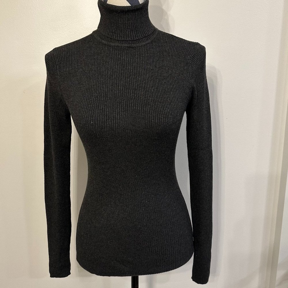 NWT Express Charcoal Gray Turtleneck Sweater